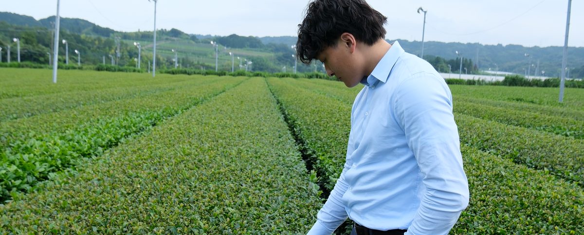 On-site product photography in the tea field